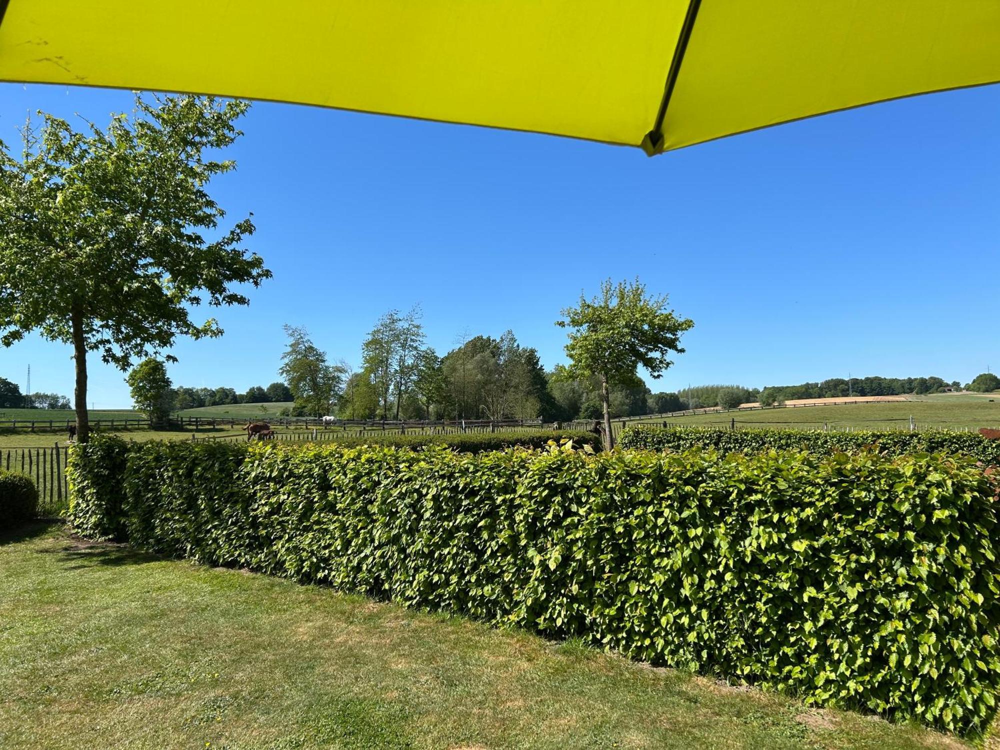 Au Coeur Des Collines, Gloriette Ellezelles Exterior foto
